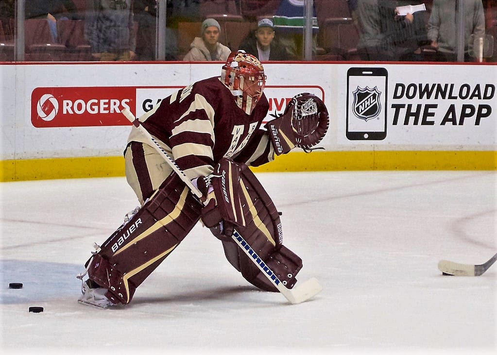 Stars place G Khudobin, 2020 Stanley Cup starter, on waivers