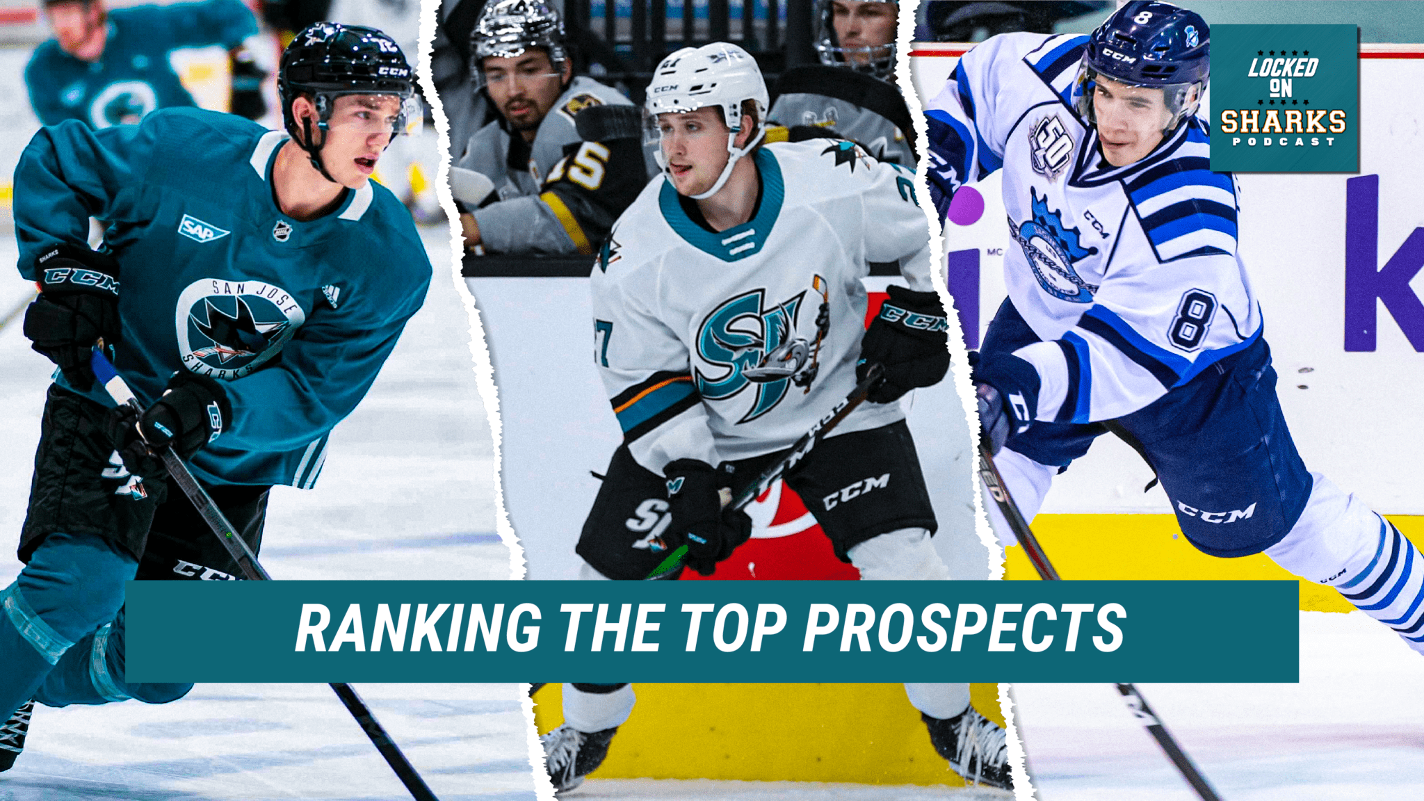 Top prospects for San Jose Sharks