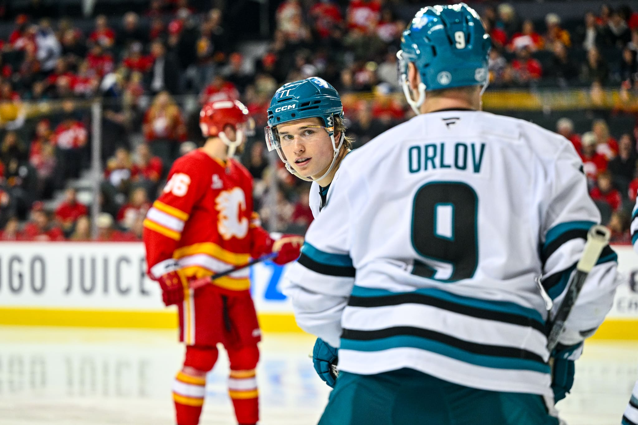 SJHN Daily: PWHL State of Union, Orlov Showers Celebrini With Praise, Rielly Interested in Sharks?
